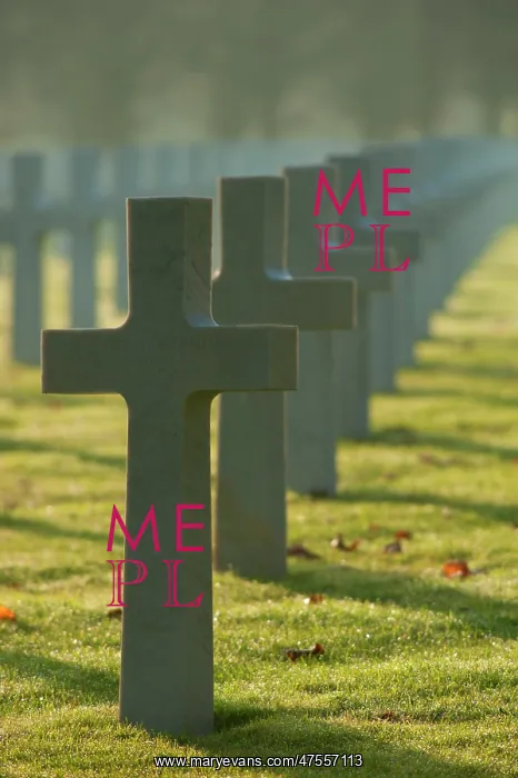  : ABMC Meuse Argonne Cemetery