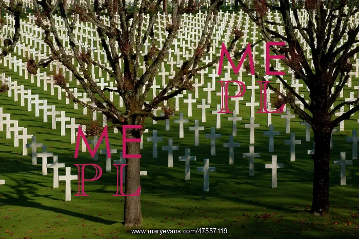  : ABMC Meuse Argonne Cemetery