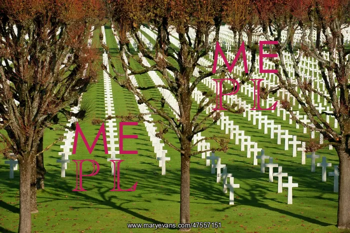  : ABMC Meuse Argonne Cemetery