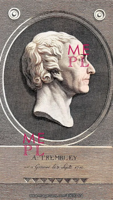  : Abraham Trembeley - Clemens