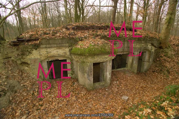 : Abri de Kronprinz - Argonne : Abri de Kronprinz - Argonne
