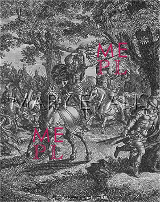 : ABSALOM'S HAIR CAUGHT : ABSALOM'S HAIR CAUGHT