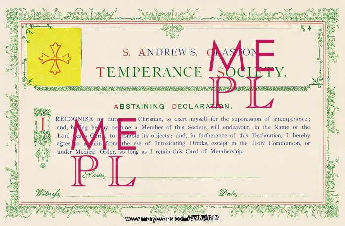 : ABSTAINER'S DECLARATION : ABSTAINER'S DECLARATION