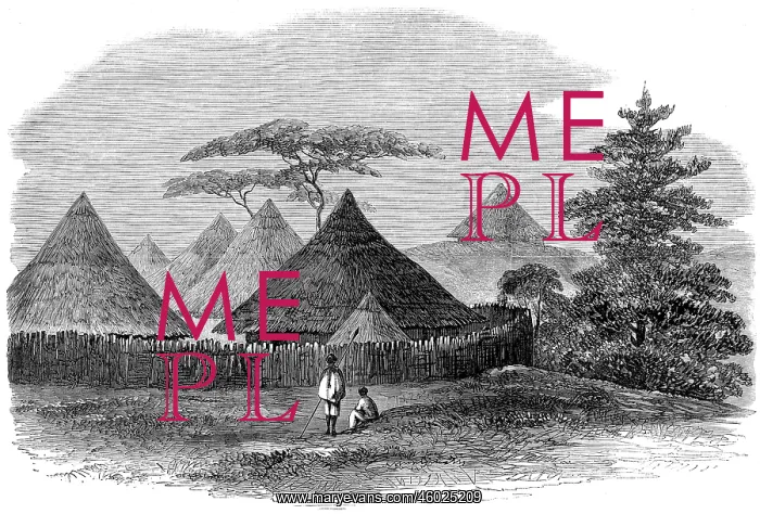 : Abyssinian Expedition : Abyssinian Expedition