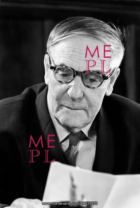 : academician P.L. Kapitsa : academician P.L. Kapitsa