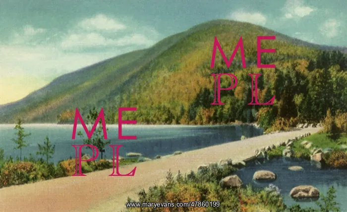  : Acadia National Park. Bar Harbor