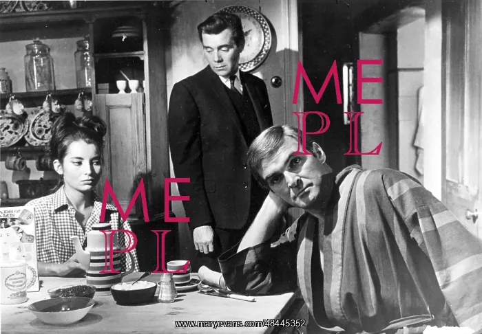 : ACCIDENT JACQUELINE SASSARD, DIRK BOGARDE, STANLEY BAKER : ACCIDENT JACQUELINE SASSARD, DIRK BOGARDE, STANLEY BAKER