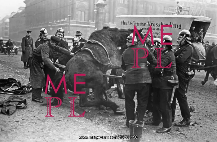 : Accident with a horse, 1927 : Accident with a horse, 1927