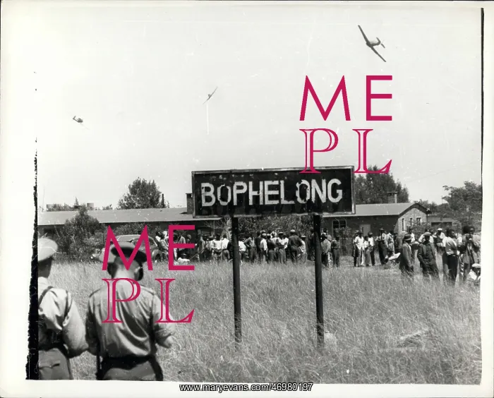 : Accidents - Disasters - Fires - Floods - Tragedies : Accidents - Disasters - Fires - Floods - Tragedies