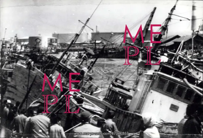 : Accidents - Disasters - Fires - Floods - Tragedies : Accidents - Disasters - Fires - Floods - Tragedies