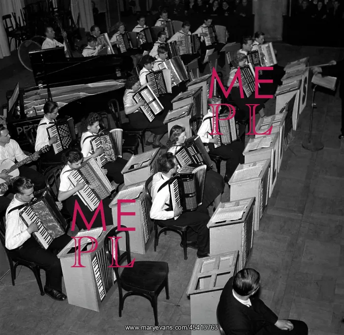 : Accordian players : Accordian players