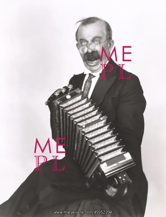  : Accordion player