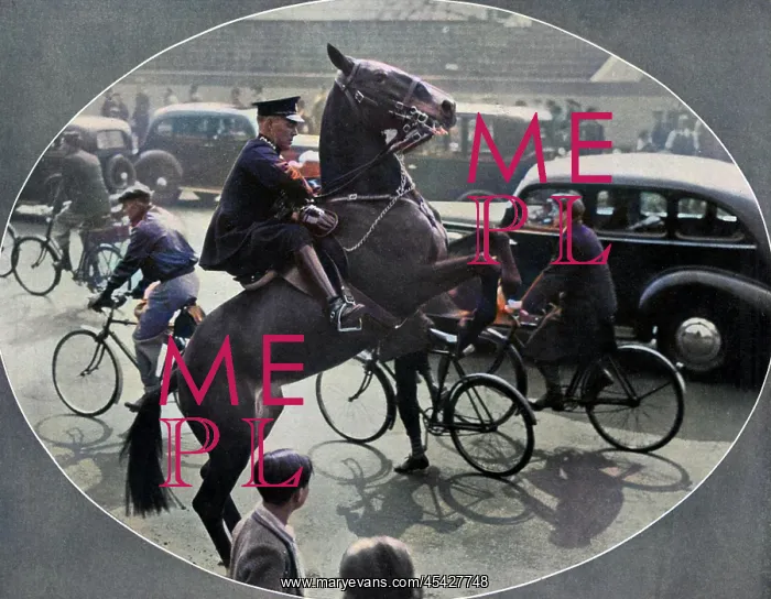 : Accustoming a horse to traffic before the Coronation : Accustoming a horse to traffic before the Coronation