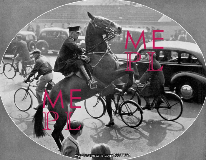 : Accustoming a horse to traffic before the Coronation : Accustoming a horse to traffic before the Coronation