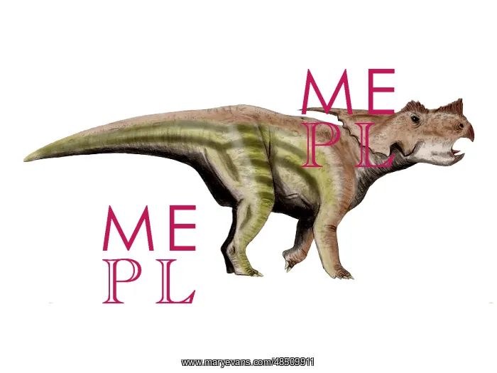 : Achelousaurus dinosaur : Achelousaurus dinosaur