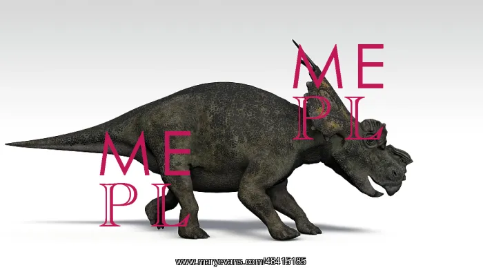 : Achelousaurus dinosaur, white background : Achelousaurus dinosaur, white background
