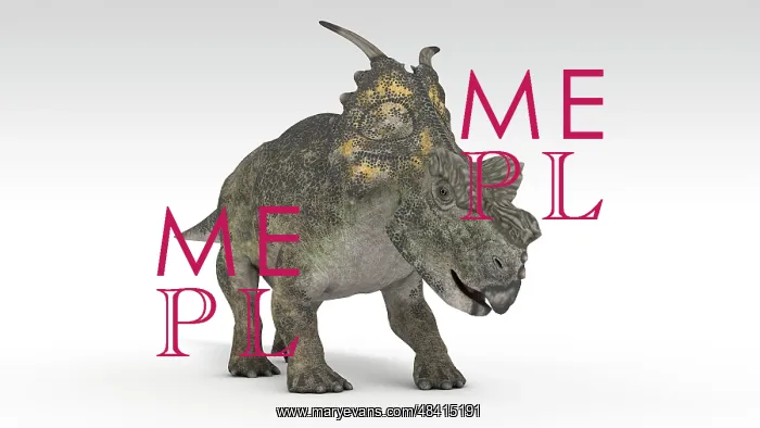 : Achelousaurus dinosaur, white background : Achelousaurus dinosaur, white background