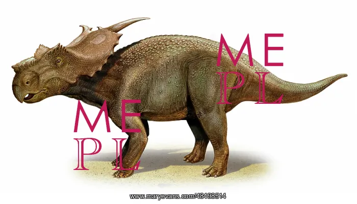 : Achelousaurus horneri, a prehistoric era dinosaur : Achelousaurus horneri, a prehistoric era dinosaur