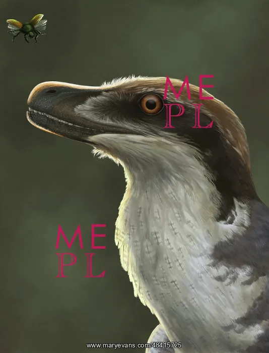 : Acheroraptor dromaeosaurid dinosaur with hispine beetle : Acheroraptor dromaeosaurid dinosaur with hispine beetle