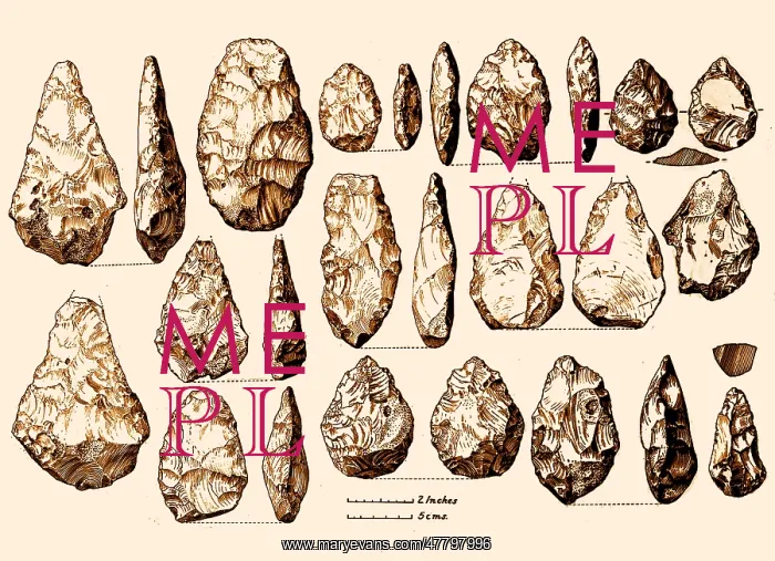 : Acheulean Hand-Axes, Lower Paleolithic : Acheulean Hand-Axes, Lower Paleolithic