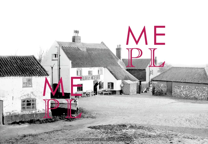  : Acle, the Bridge Hotel from the Bridge c1955