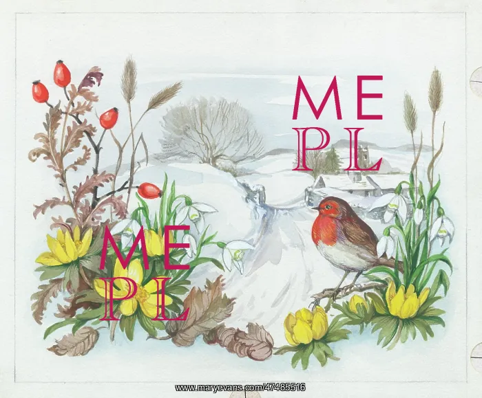  : Aconites, snowdrops, hips and robin in winter landscape