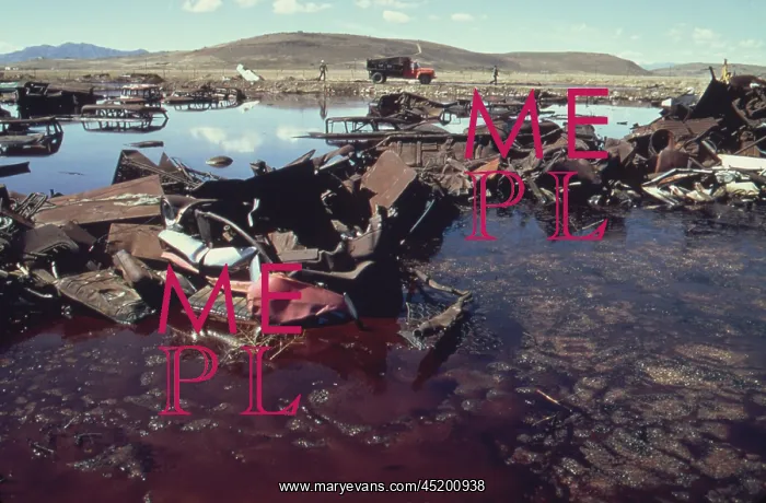 : A five acre pond so polluted with junked ? : A five acre pond so polluted with junked ?