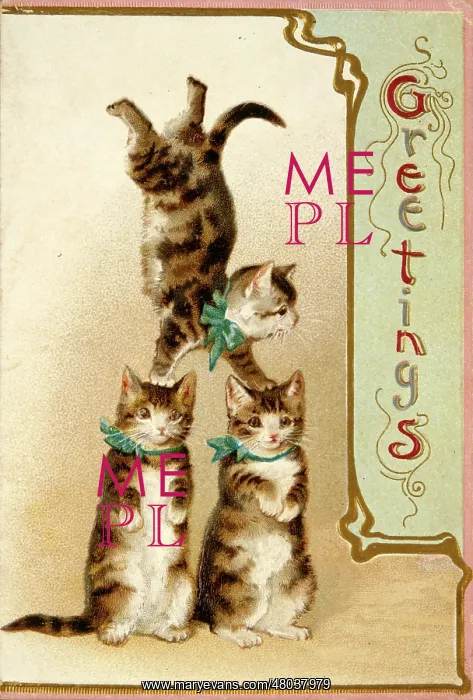  : Three acrobatic cats on a greetings card