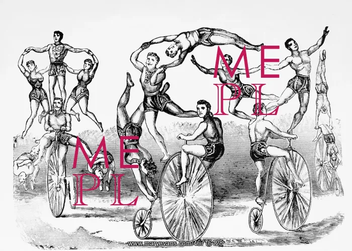 : Acrobats - Bicycles - Circus - Entertainment : Acrobats - Bicycles - Circus - Entertainment