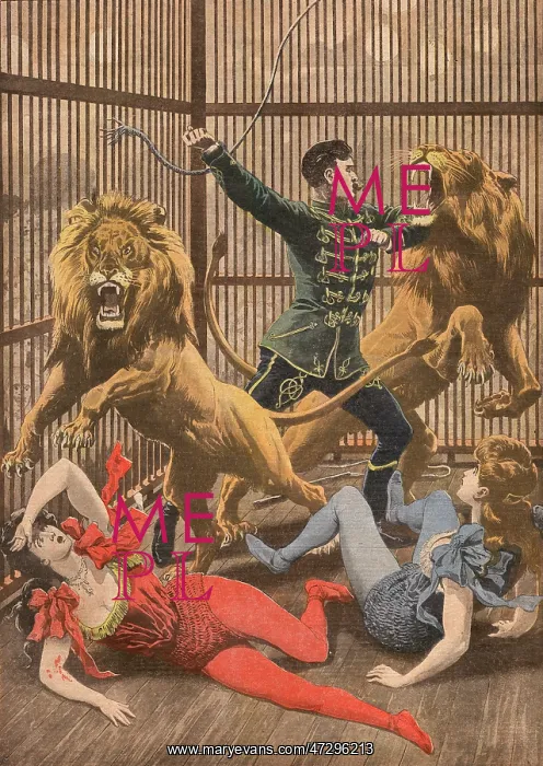 : ACROBATS FALLS / LION CAGE : ACROBATS FALLS / LION CAGE