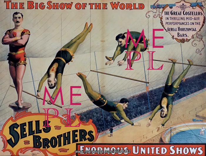 : Acrobats - The Great Costellos : Acrobats - The Great Costellos