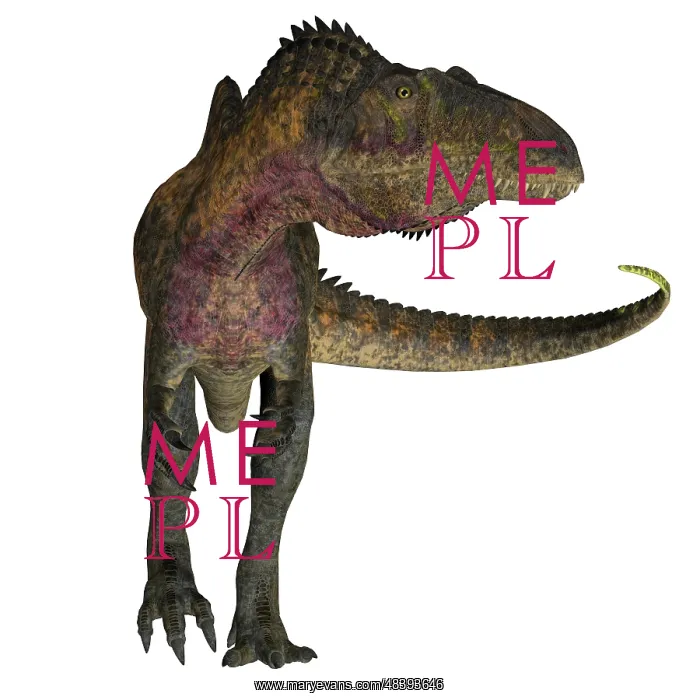: Acrocanthosaurus dinosaur on white background : Acrocanthosaurus dinosaur on white background