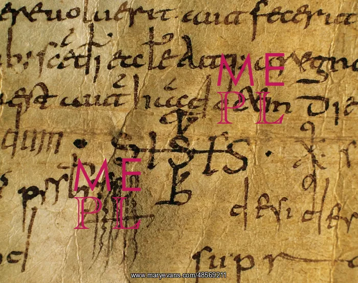 : Act of Consecration of the Carolingian Cathedral La Seu d'Ur : Act of Consecration of the Carolingian Cathedral La Seu d'Ur