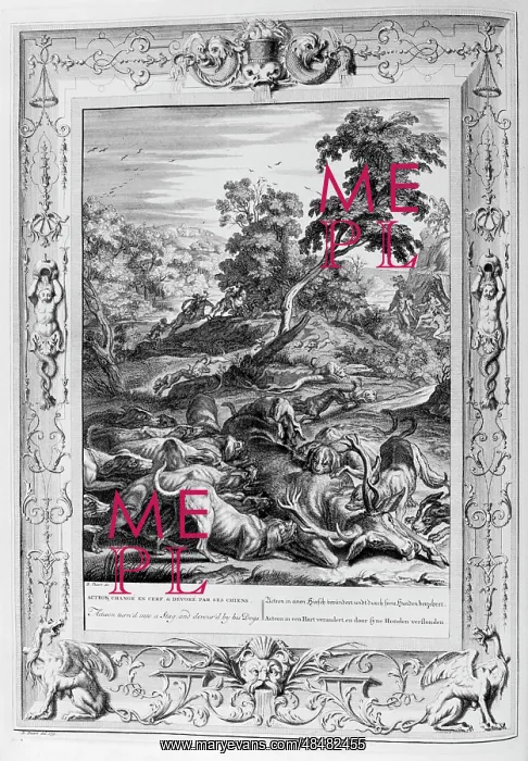 : Acteon devoured by hunting hounds. Engraved illustration : Acteon devoured by hunting hounds. Engraved illustration