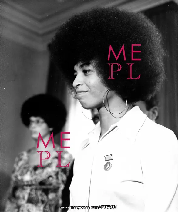 : Activist Angela Davis 1944 - : Activist Angela Davis 1944 -