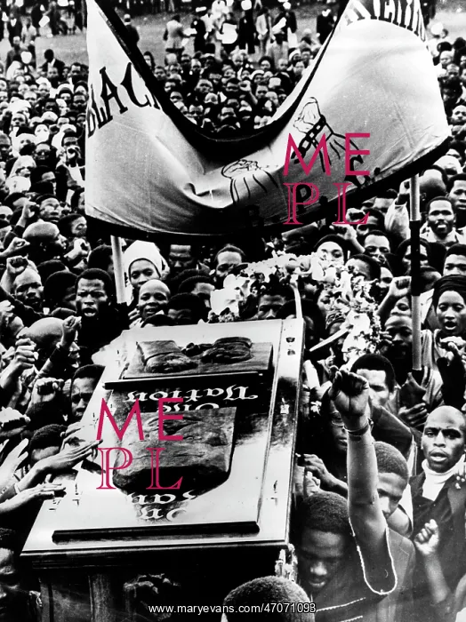 : Activist Steve Biko 1946 - 1977 : Activist Steve Biko 1946 - 1977