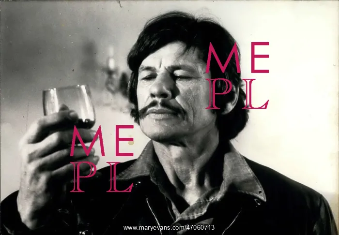 : Actor Charles Bronson : Actor Charles Bronson