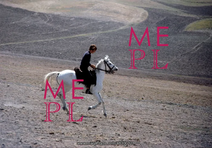  : Actor - David Hemmings on Horse