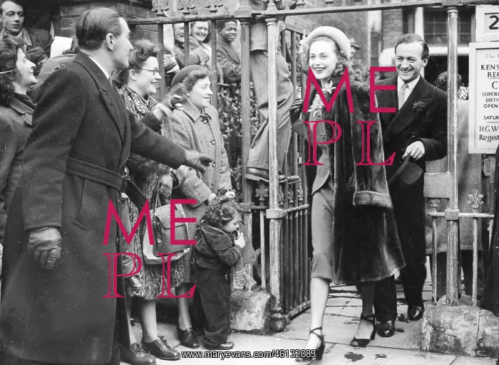 : Actor, Novelist David Niven 1910 - 1983 : Actor, Novelist David Niven 1910 - 1983