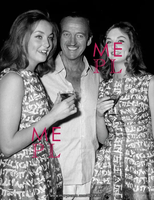 : Actor, Novelist David Niven 1910 - 1983 : Actor, Novelist David Niven 1910 - 1983