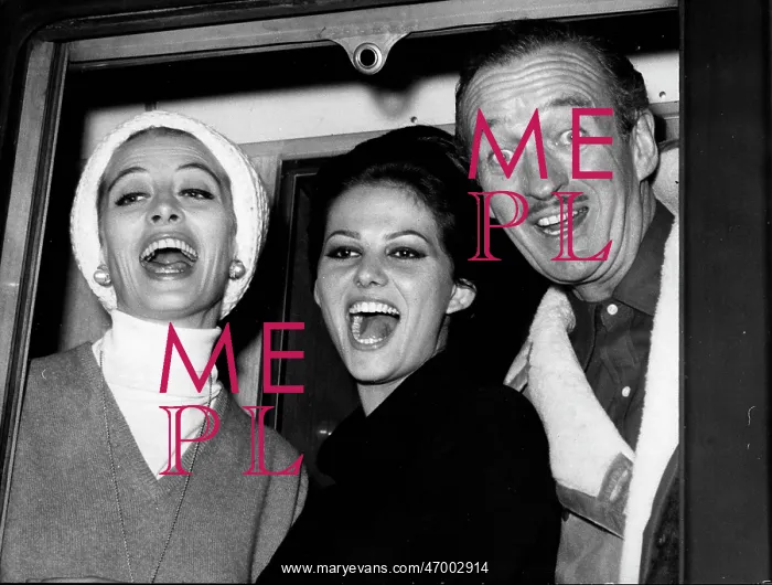 : Actor, Novelist David Niven 1910 - 1983 : Actor, Novelist David Niven 1910 - 1983