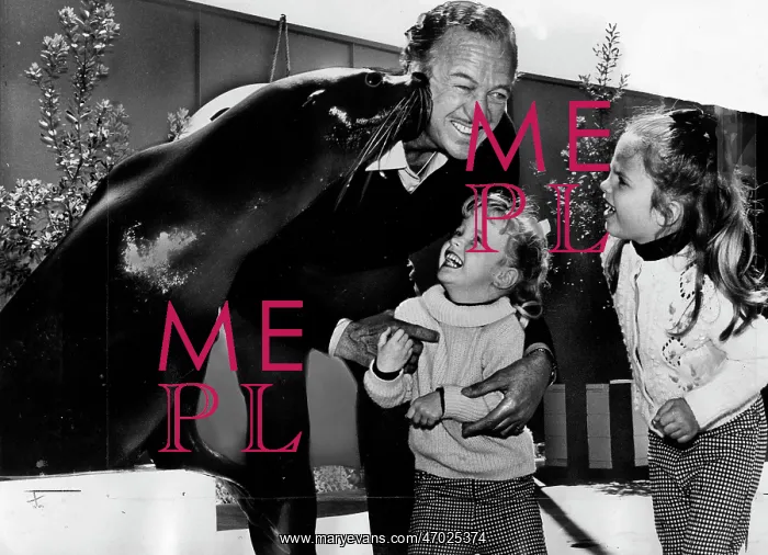 : Actor, Novelist David Niven 1910 - 1983 : Actor, Novelist David Niven 1910 - 1983