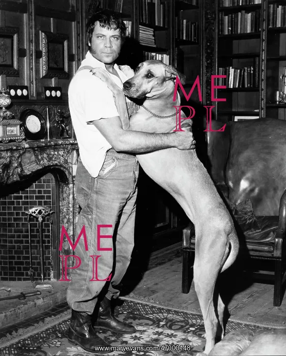 : Actor Oliver Reed 1938 - 1999 : Actor Oliver Reed 1938 - 1999