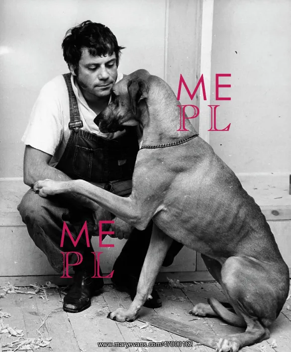 : Actor Oliver Reed 1938 - 1999 : Actor Oliver Reed 1938 - 1999