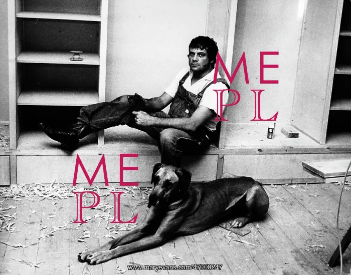 : Actor Oliver Reed 1938 - 1999 : Actor Oliver Reed 1938 - 1999