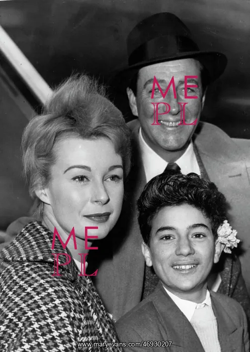 : Actor Robert Taylor 1911 - 1969 : Actor Robert Taylor 1911 - 1969