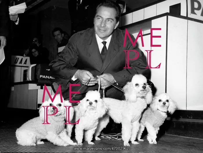 : Actor Rossano Brazzi 1916 - 1994 : Actor Rossano Brazzi 1916 - 1994