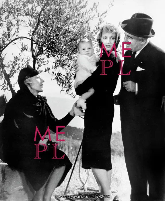 : Actress - Actor - Celebrity : Actress - Actor - Celebrity