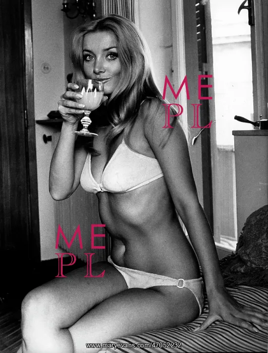 : Actress Barbara Bouchet 1943 - : Actress Barbara Bouchet 1943 -