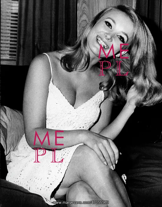 : Actress Barbara Bouchet 1943 - : Actress Barbara Bouchet 1943 -